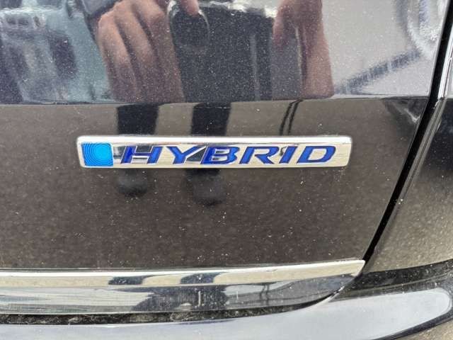 acb0b0d704f71d88f751d8933f78b88b.jpg