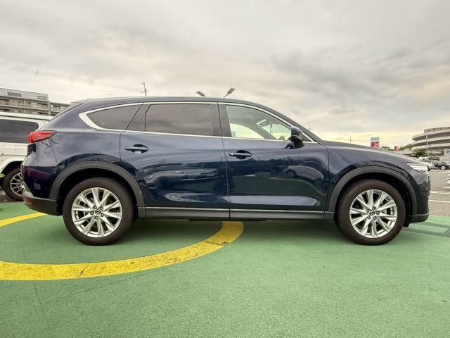 26531851_carP_l_3.jpg