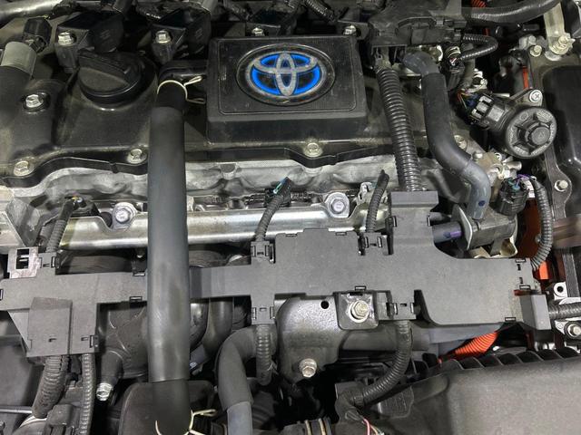 a241be3dfe85d4e3b2a56d4a74eae042.jpg