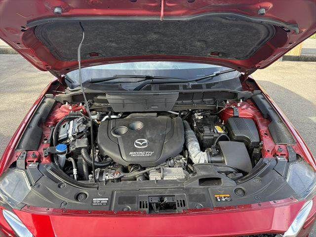 dd5c3890eb594f87ecc2a19ddaca8a5d.jpg