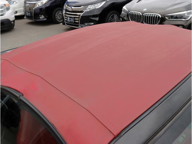 24625329_carP_l_6.jpg