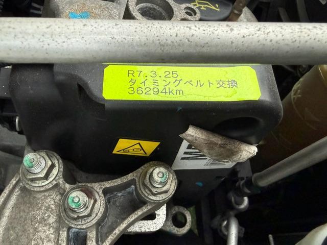 26531854_carP_l_20.jpg