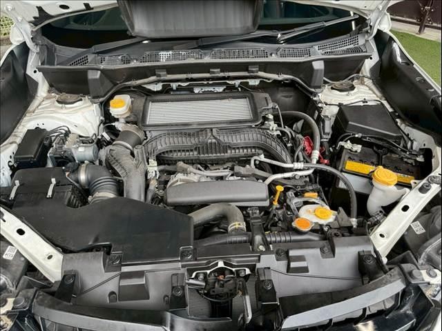 0203985A20251202D00317.jpg
