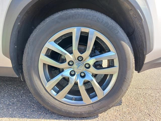 27139334_carP_l_11.jpg