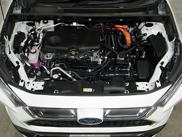 0500075A20260801K05619.jpg