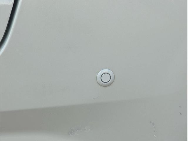 1100943A30260430W00509.jpg