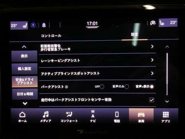 21342952_carP_l_7.jpg