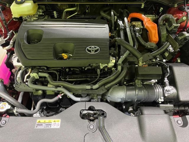26731298_carP_l_18.jpg