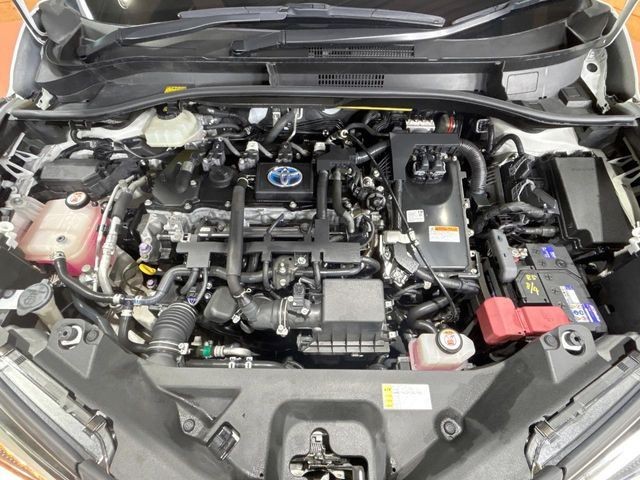 ec2177e22216216fd5a4dadc1d55305d.jpg