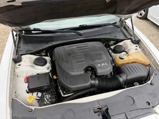 24501292_carP_l_16.jpg