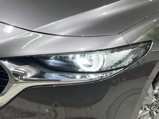 26577930_carP_l_7.jpg