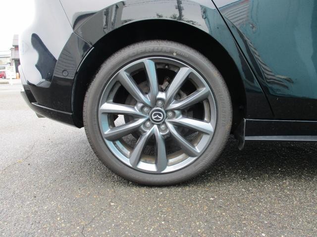 1201224A30260827W00118.jpg