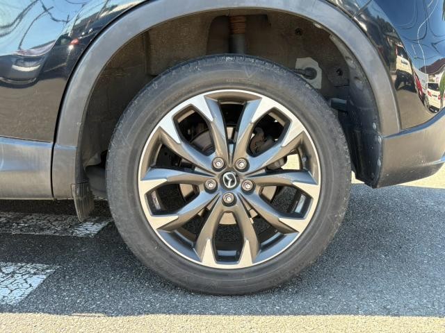 26816816_carP_l_2.jpg