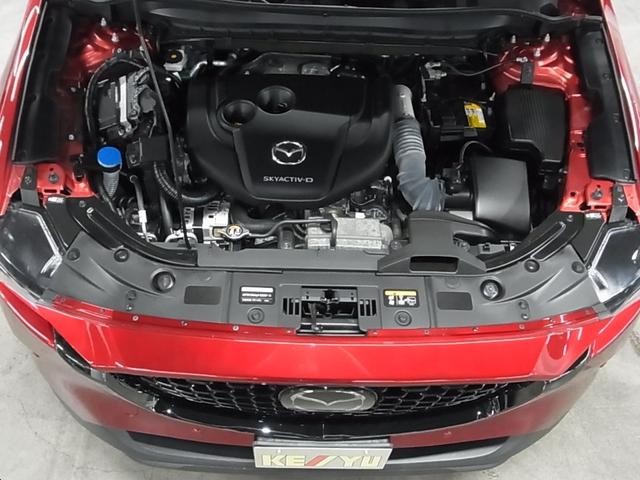 0500075A20260808K01119.jpg