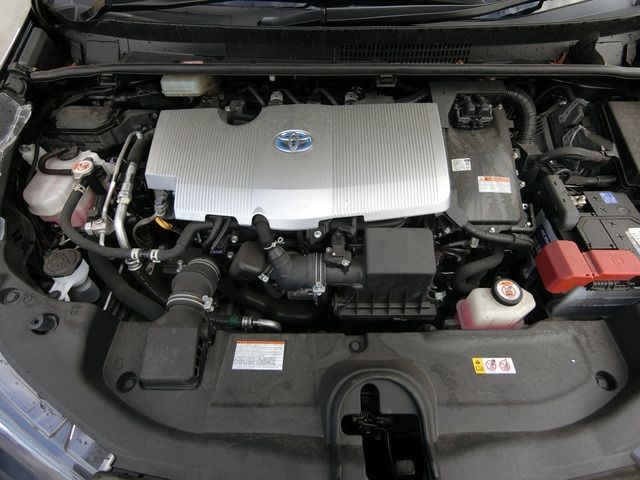 c52316a04edd28f88f9a5994881f139a.jpg