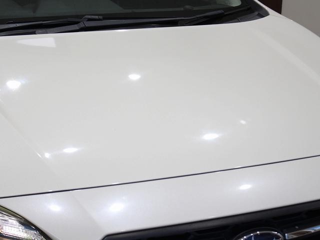 1300954A30260718W00107.jpg