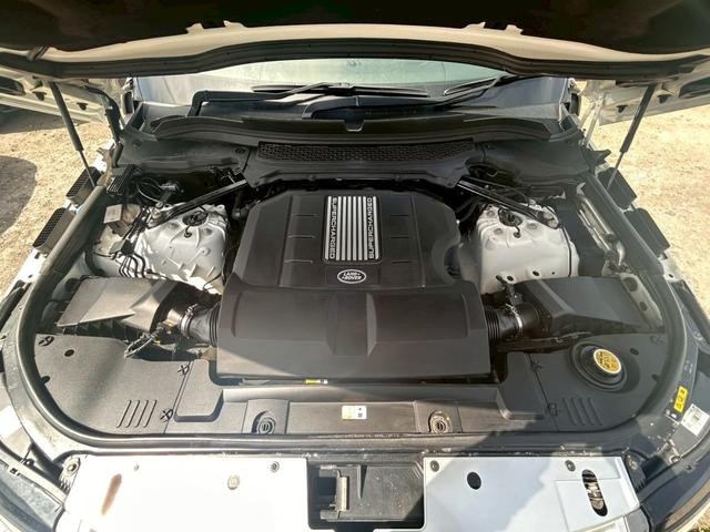 0708848A30260425W00108.jpg