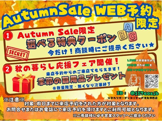0730177A30260905W00303.jpg