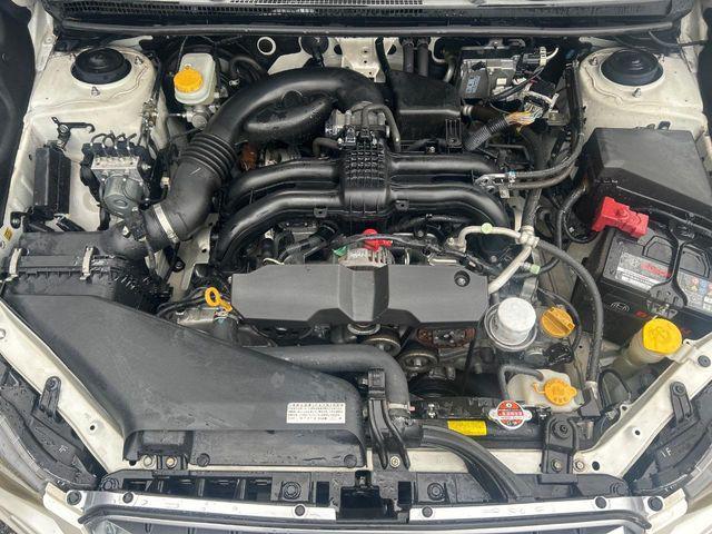 219757fb696b6615cc49d00abfa72235.jpg
