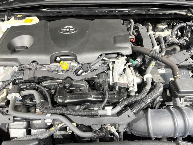 26577957_carP_l_18.jpg