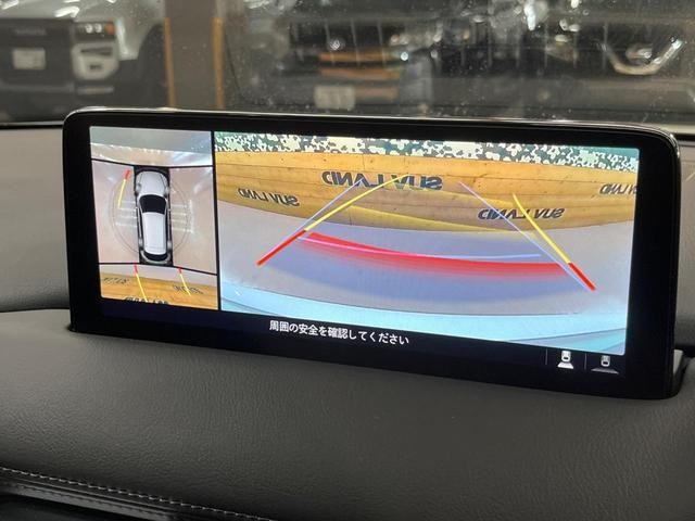 27072140_carP_l_4.jpg