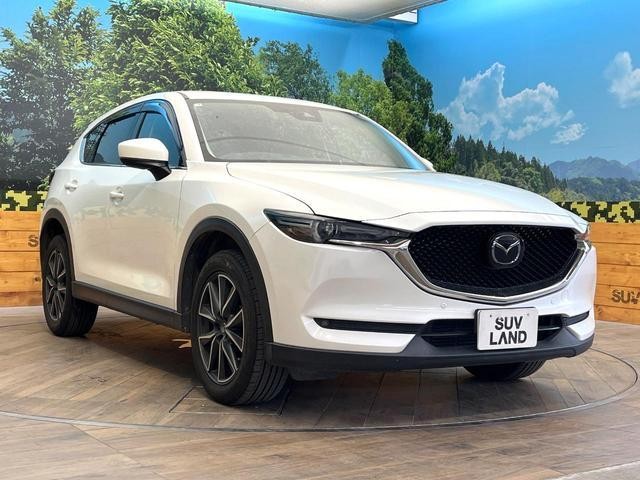27052019_carP_l_11.jpg