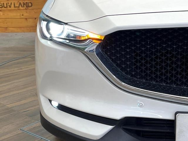 27052019_carP_l_6.jpg