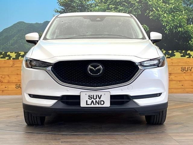 27052019_carP_l_8.jpg