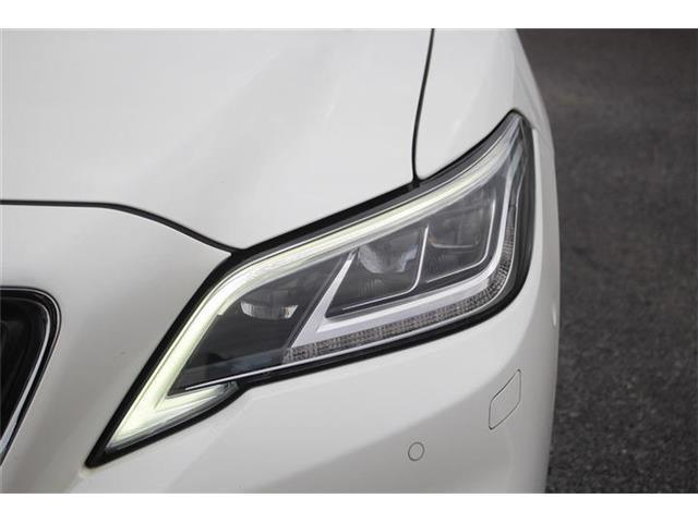 8e4f9d4fdf21879cab0991de69e563ea.jpg