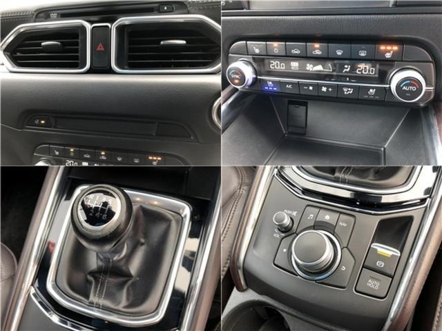 c003612ca081be73beaf7a7613edc76a.jpg
