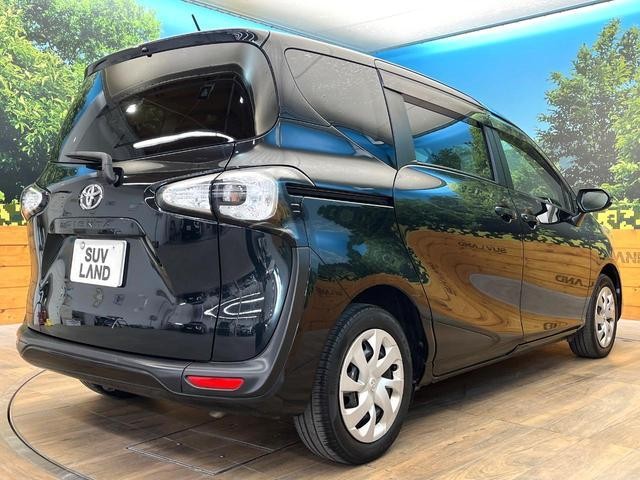 27116558_carP_l_12.jpg