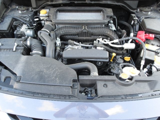 0858dfbba0679500bf81f51f4e1db934.jpg