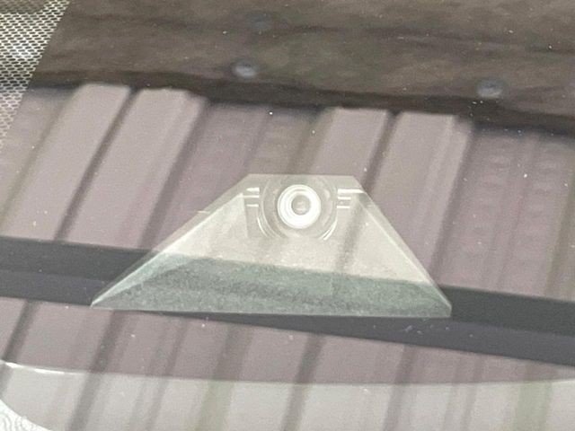 e184732e17df47ac06d568820197560e.jpg