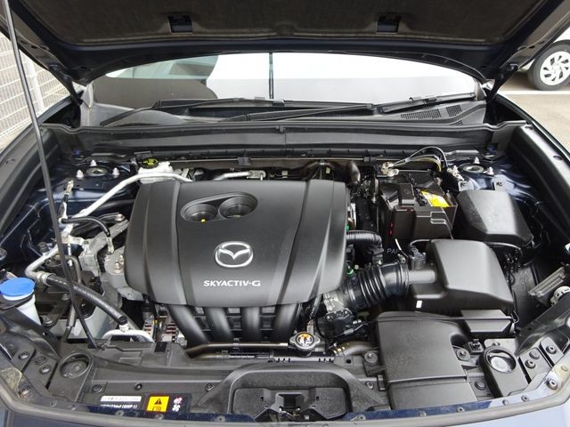 d51c369212ae76256689d7eb70421c82.jpg