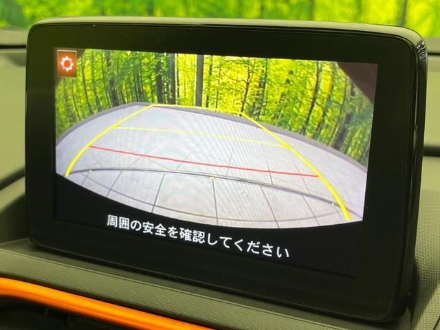 26578188_carP_l_10.jpg