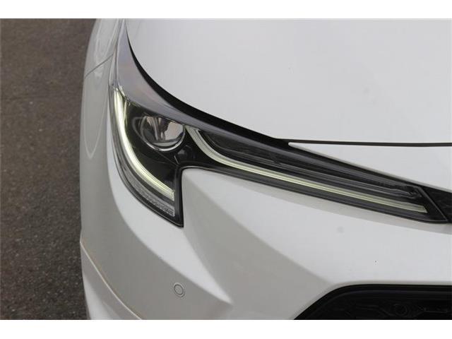 f42c3d003dfca8983fdbc43e71189e67.jpg