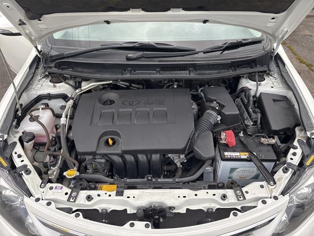 0901673A30260918W00218.jpg