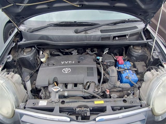 08.jpg