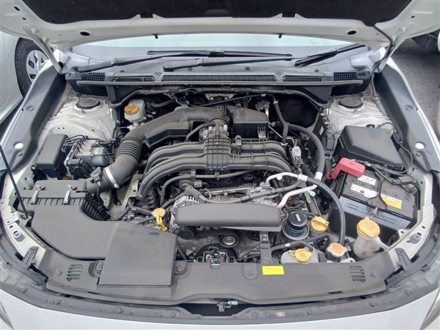 08.jpg