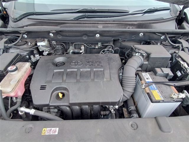 08.jpg