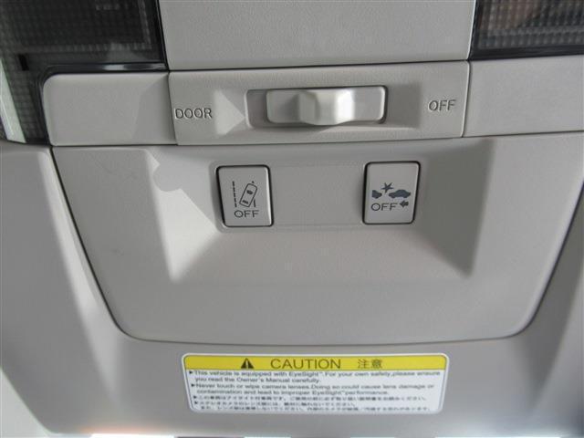 17586866_carP_l_17.jpg