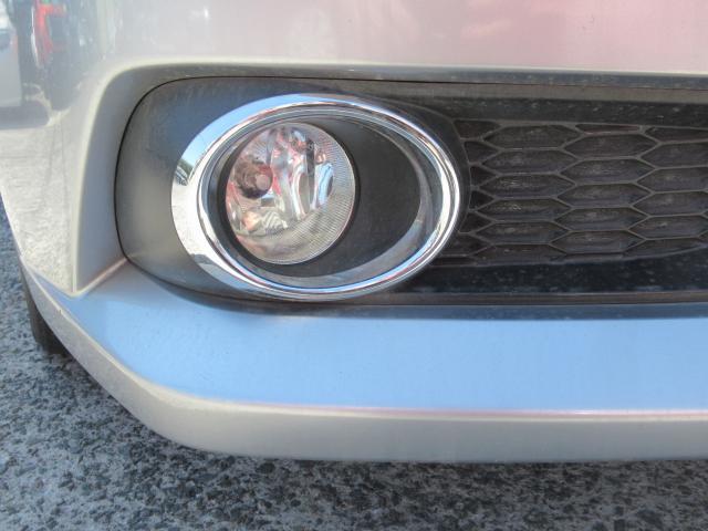 17586866_carP_l_7.jpg