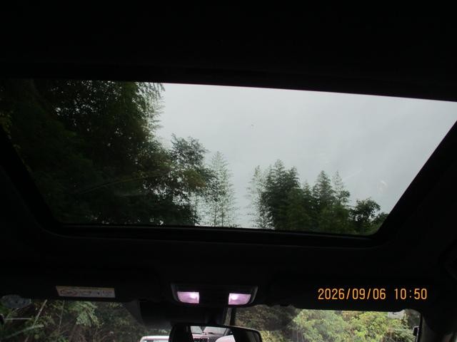 0802982A30260906W00213.jpg