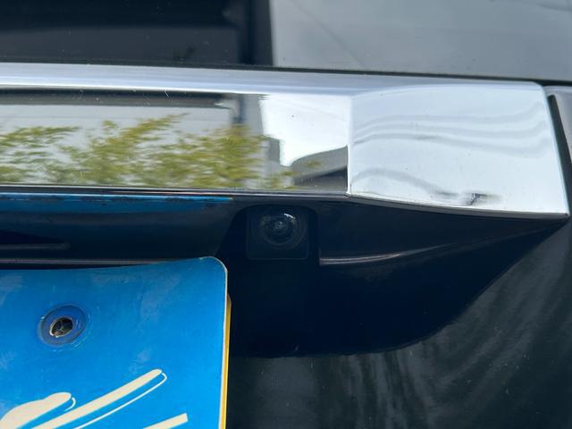 1301005A30260205W00116.jpg
