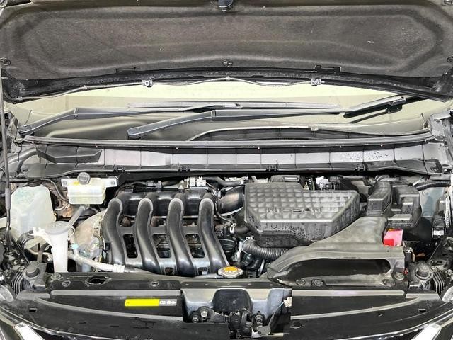 26688552_carP_l_16.jpg