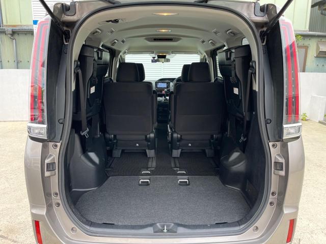 24664812_carP_l_5.jpg