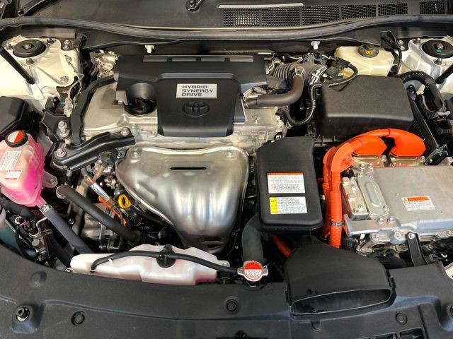 b31677bf2b54e53cea71741ef1397570.jpg