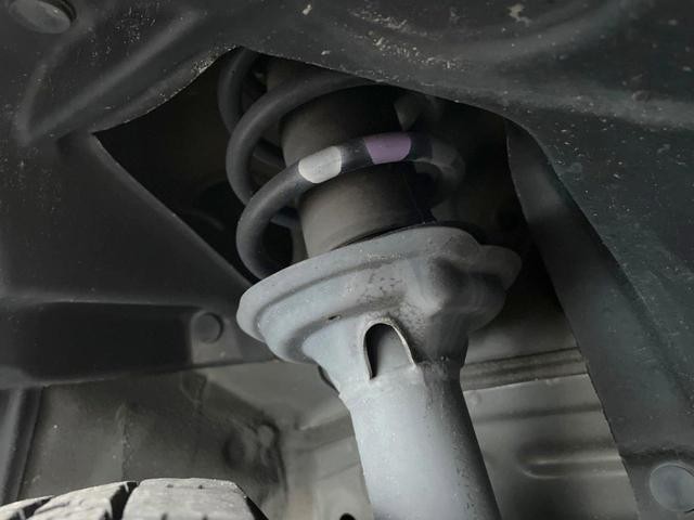 27204479_carP_l_20.jpg