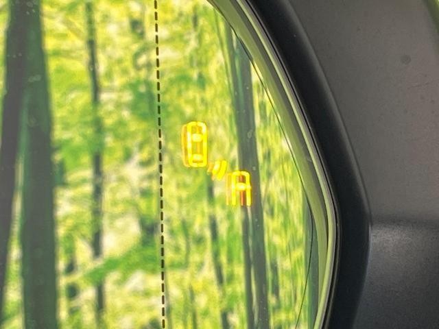 26578467_carP_l_14.jpg