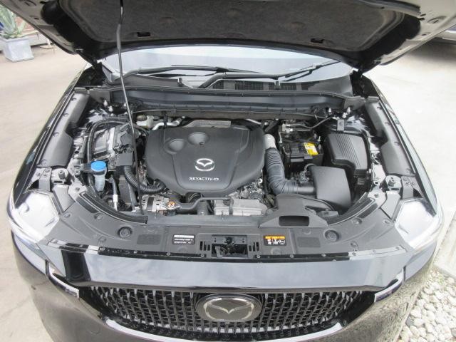 0561088A30260828W00115.jpg